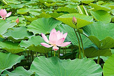 Epic喜加一！免费领取冒险游戏《毛线先生》